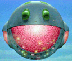 josehill avatar