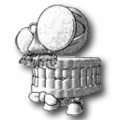 Tartiflette avatar