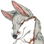 starfoxacefox avatar