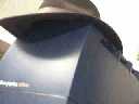 Sparrowhawk avatar