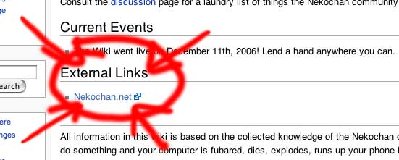 Wiki.jpg