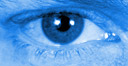 zolotroph avatar