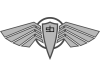 ducks avatar