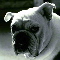 ScutBoy avatar